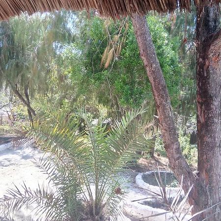 Twisted Palms Lodge & Restaurant Bwejuu Εξωτερικό φωτογραφία