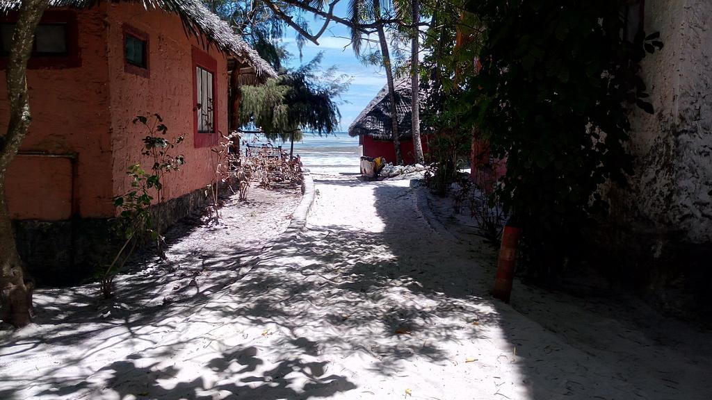 Twisted Palms Lodge & Restaurant Bwejuu Εξωτερικό φωτογραφία