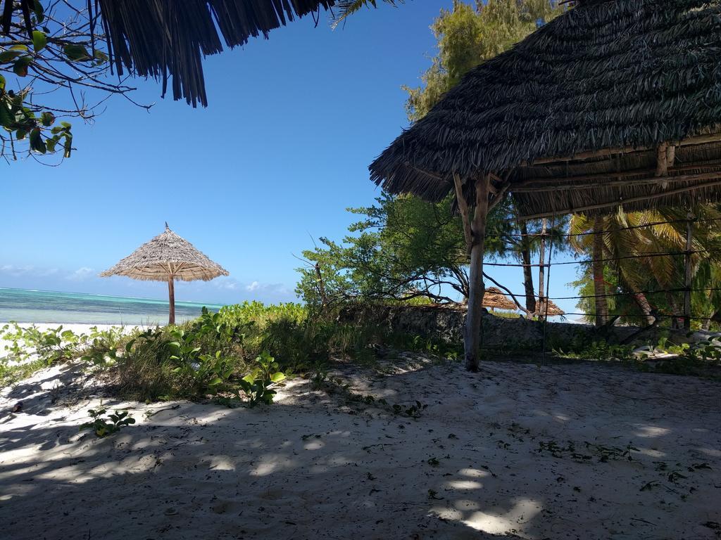 Twisted Palms Lodge & Restaurant Bwejuu Εξωτερικό φωτογραφία