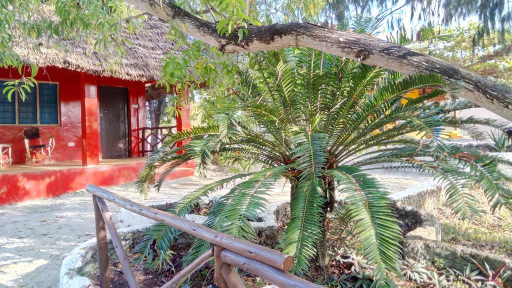 Twisted Palms Lodge & Restaurant Bwejuu Εξωτερικό φωτογραφία