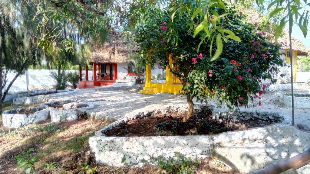 Twisted Palms Lodge & Restaurant Bwejuu Εξωτερικό φωτογραφία