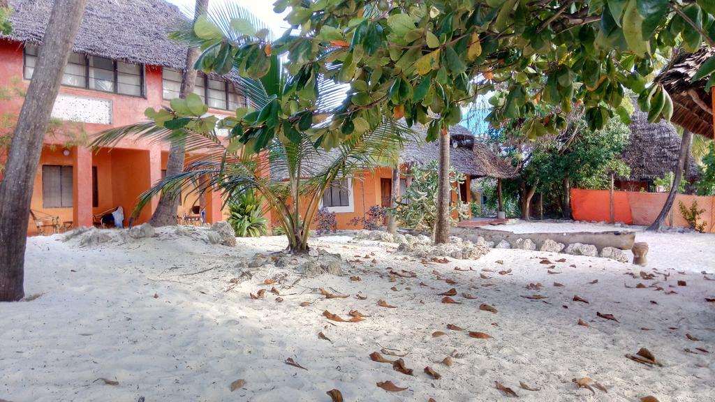 Twisted Palms Lodge & Restaurant Bwejuu Εξωτερικό φωτογραφία
