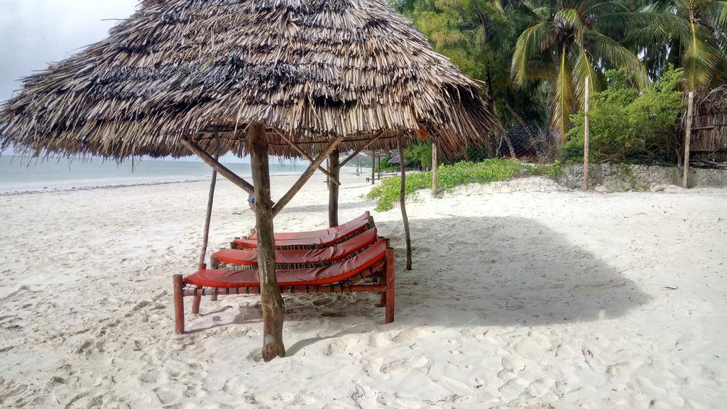 Twisted Palms Lodge & Restaurant Bwejuu Εξωτερικό φωτογραφία