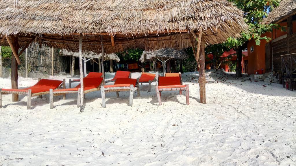 Twisted Palms Lodge & Restaurant Bwejuu Εξωτερικό φωτογραφία