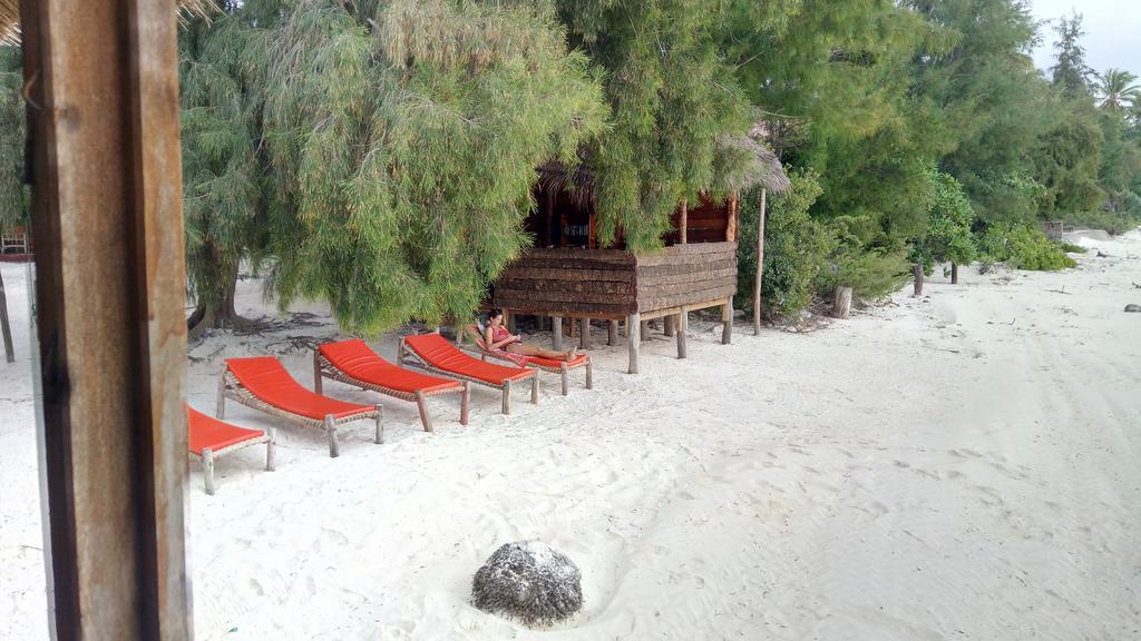 Twisted Palms Lodge & Restaurant Bwejuu Εξωτερικό φωτογραφία